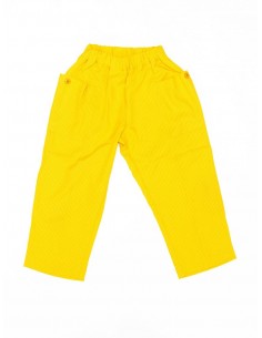 Pumpkin pants(yellow... 2