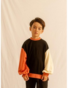 Color SWT(black)