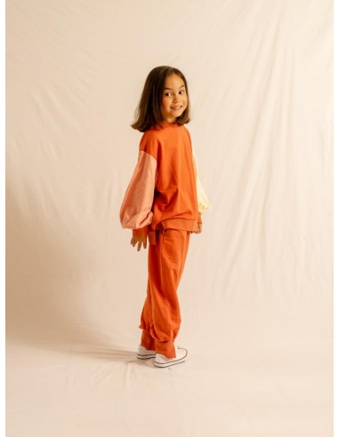 Iro pants (teracotta)