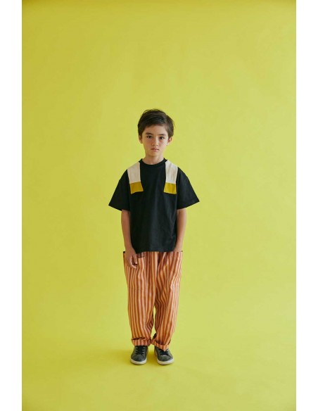 Arazin T-shirts(black)