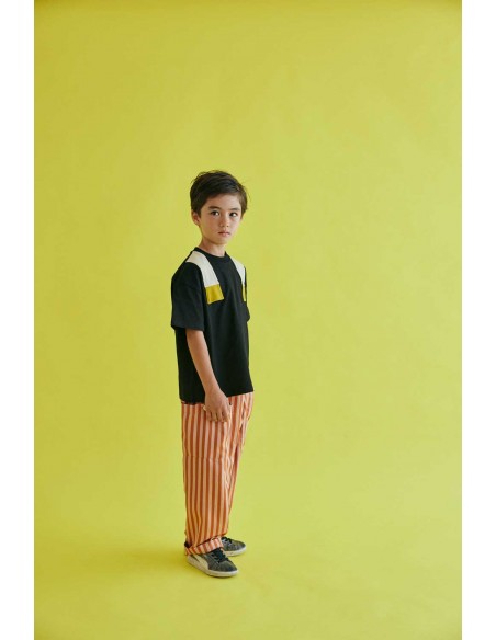 Arazin T-shirts(black)