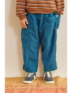 Pumpkin pants 25AW(bleu) F 2