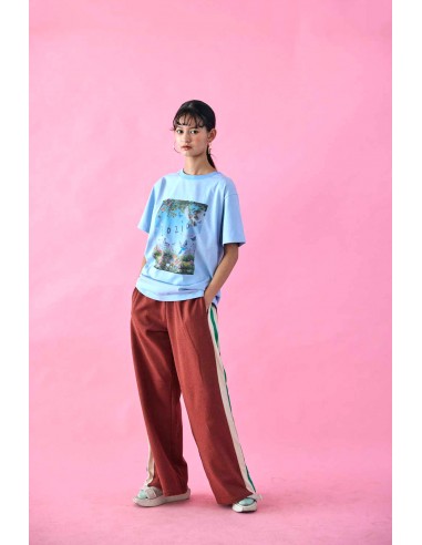 Brazil pants(teracotta)F