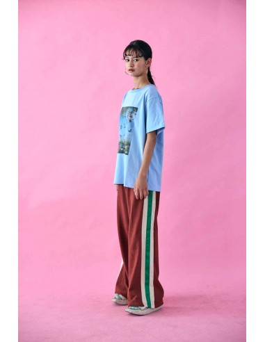 Brazil pants(teracotta)F